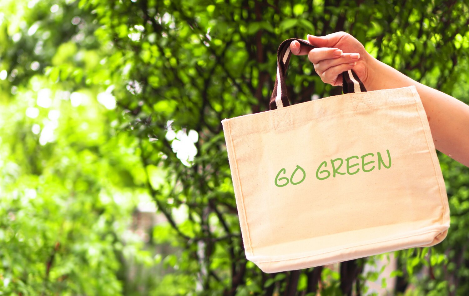 Evolution of Eco-Friendly Shopping